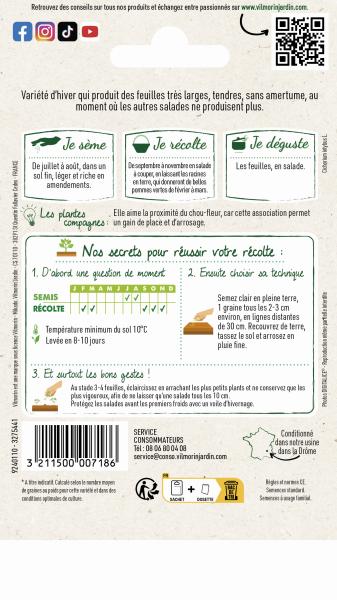 Potagères - Chicorée à Feuilles Améliorée Blonde - MEDIA_PACKAGING_VERSO
